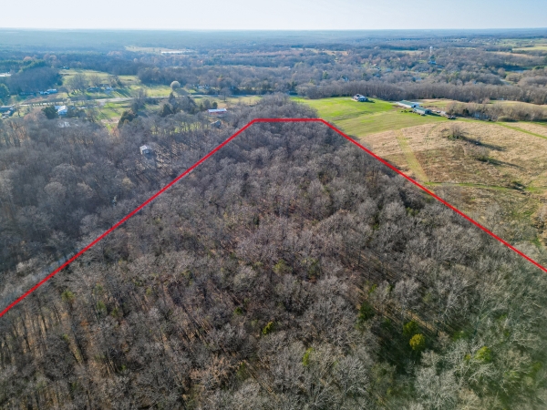 Listing Image #3 - Land for sale at 000 Belville Rd, New Burnside IL 62967 Listing Image #3 - Land for sale at 000 Belville Rd, New Burnside IL 62967