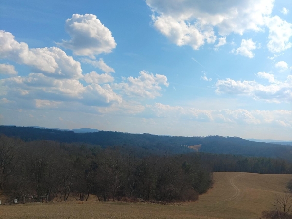 Listing Image #3 - Land for sale at TBD Dobbins Hollow 151, Riner VA 24149 Listing Image #3 - Land for sale at TBD Dobbins Hollow 151, Riner VA 24149