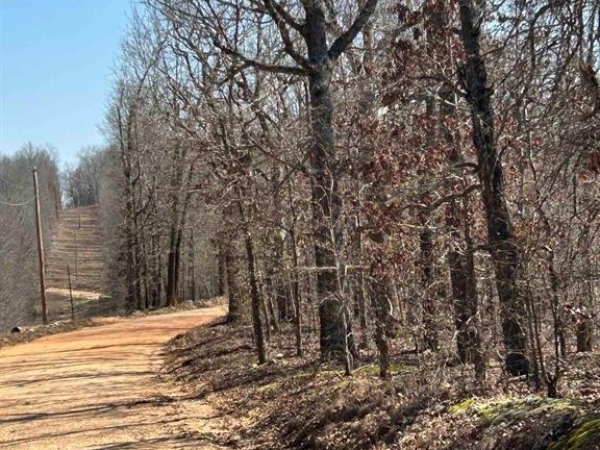 Listing Image #2 - Land for sale at 71 Acres McFadden and Springwood, Hardy AR 72542