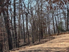 Listing Image #3 - Land for sale at 71 Acres McFadden and Springwood, Hardy AR 72542