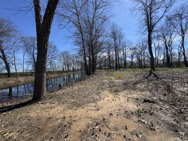 Listing Image #2 - Others for sale at 13410 Wayne Route T, Wappapello MO 63966