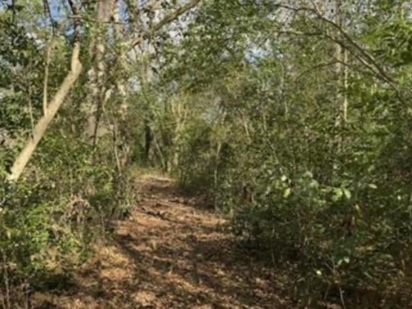 Listing Image #2 - Land for sale at 4.45 acres South Street, Marshallville GA 31057