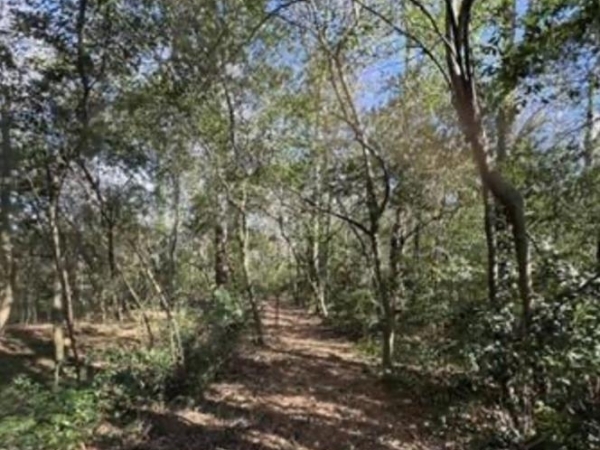 Listing Image #3 - Land for sale at 4.45 acres South Street, Marshallville GA 31057