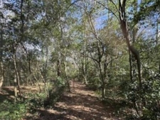 Listing Image #3 - Land for sale at 4.45 acres South Street, Marshallville GA 31057