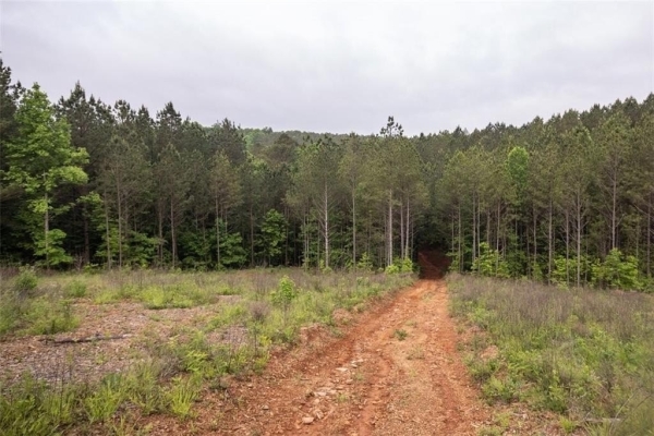 Listing Image #2 - Others for sale at Hidden Creek Road, Jasper GA 30143