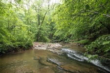 Listing Image #3 - Others for sale at Hidden Creek Road, Jasper GA 30143