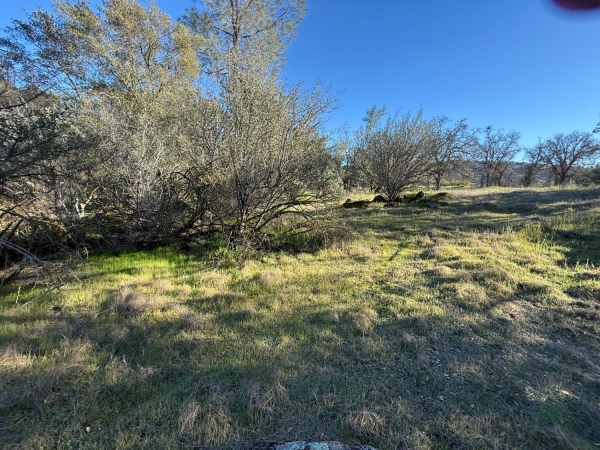 Listing Image #2 - Others for sale at 1631 Long Hollow Drive 1631, Coarsegold CA 93614