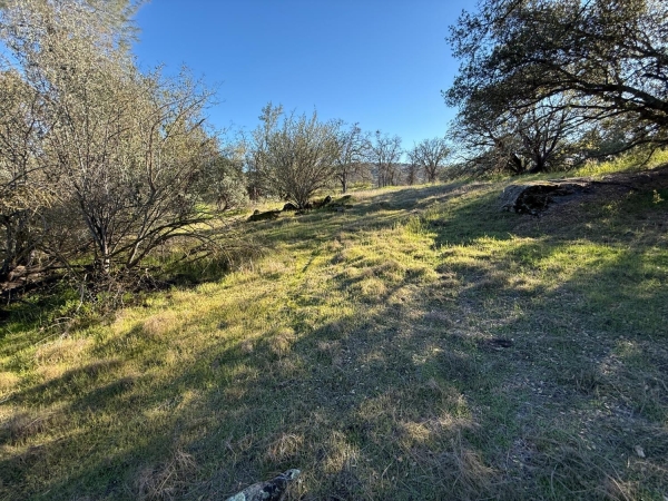 Listing Image #3 - Others for sale at 1631 Long Hollow Drive 1631, Coarsegold CA 93614