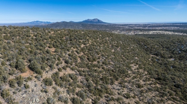 Listing Image #3 - Others for sale at 201 Pinon Trail, Cedar Crest NM 87008