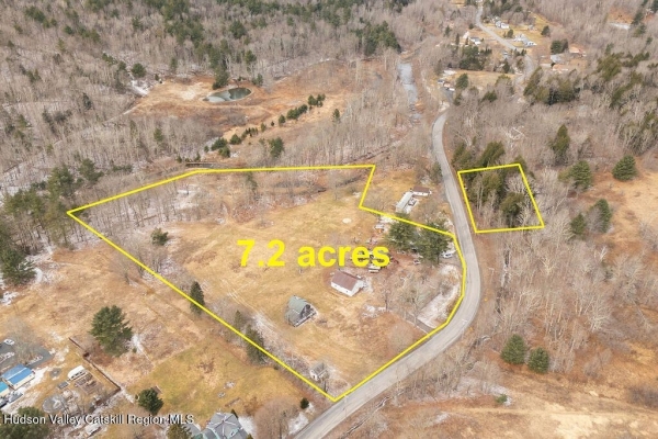 Listing Image #1 - Retail for sale at 200 & 212 Co Rd 40, Windham NY 12496