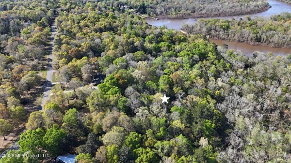 Listing Image #3 - Land for sale at 0 River Walk Drive, Vancleave MS 39565