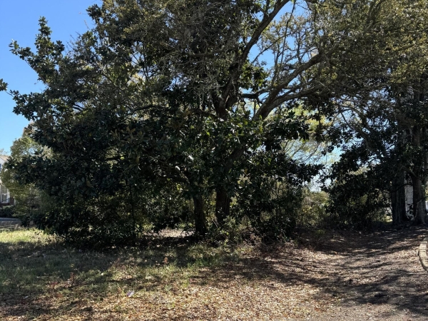 Listing Image #3 - Land for sale at 0 Jackson Avenue, Pascagoula MS 39567