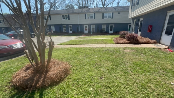 Listing Image #2 - Multi-family for sale at 421 Honeywood Ave, Charlotte NC 28216