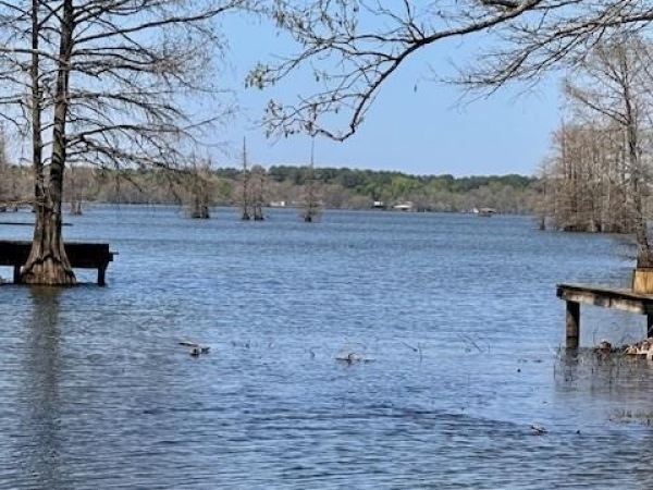 Listing Image #2 - Office for sale at 2955 Duncan, Shreveport LA 71119