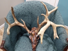 Listing Image #2 - Land for sale at 97 Three Springs Loop, Long Lane MO 65590