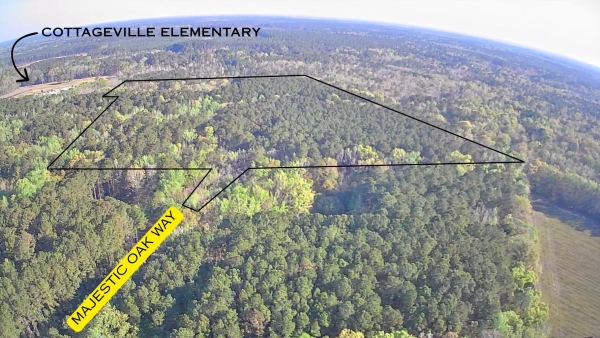 Listing Image #1 - Land for sale at TBD MAJESTIC OAK WAY, COTTAGEVILLE SC 29435