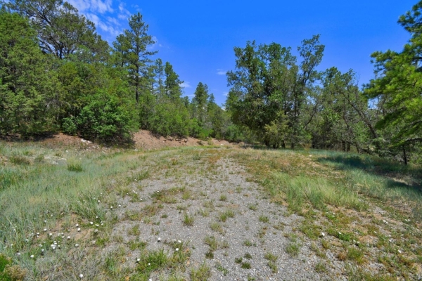 Listing Image #3 - Others for sale at 146 Skyland Boulevard, Tijeras NM 87059
