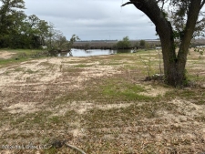Listing Image #2 - Land for sale at Hemlock Avenue, Moss Point MS 39563
