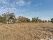 Listing Image #2 - Others for sale at 130 Cascade Caverns, Boerne TX 78006