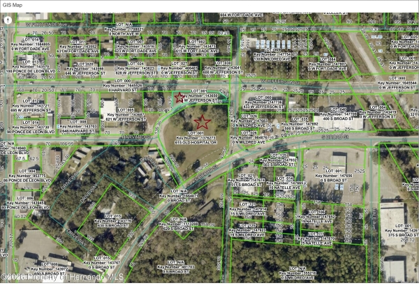 Listing Image #2 - Land for sale at 615 Old Hospital Drive, Brooksville FL 34601