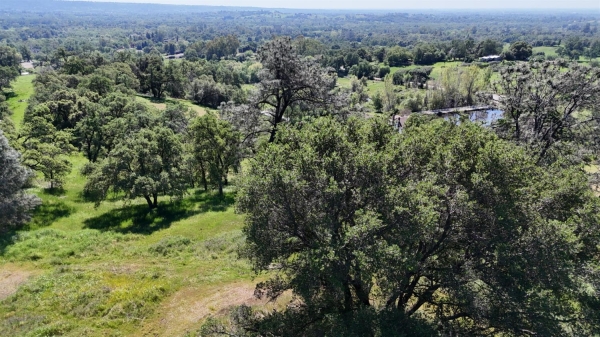 Listing Image #2 - Land for sale at 5400 Maranatha Lane, Lincoln CA 95648