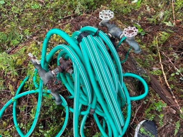 Listing Image #3 - Land for sale at 44 ROBIN LANE, PACIFIC BEACH WA 98571 Listing Image #3 - Land for sale at 44 ROBIN LANE, PACIFIC BEACH WA 98571