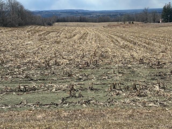 Listing Image #1 - Land for sale at Skyline Drive, Kirkland NY 13323