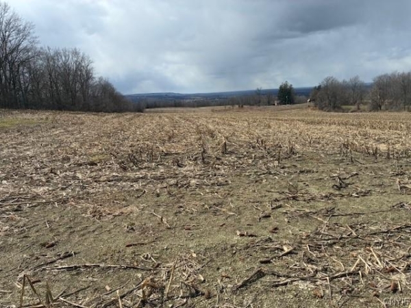 Listing Image #3 - Land for sale at Skyline Drive, Kirkland NY 13323