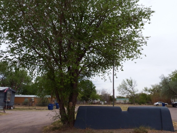 Listing Image #1 - Retail for sale at 401-413 Eastwood Loop, Socorro NM 87801