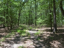 Others property for sale in Pattonville, TX