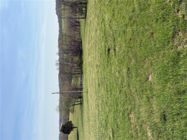 Listing Image #2 - Land for sale at County Road 520, Oak Ridge MO 63769