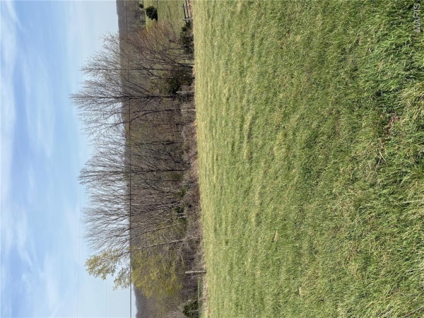 Listing Image #3 - Land for sale at County Road 520, Oak Ridge MO 63769