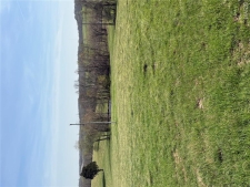 Listing Image #2 - Land for sale at County Road 520, Oak Ridge MO 63769