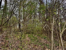 Listing Image #3 - Land for sale at County Road 351, Scott City MO 63780