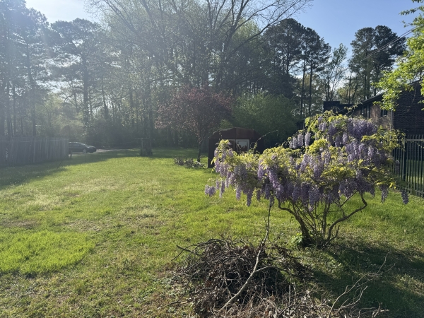 Listing Image #3 - Office for sale at 509 Cedar Road, Chesapeake VA 23322