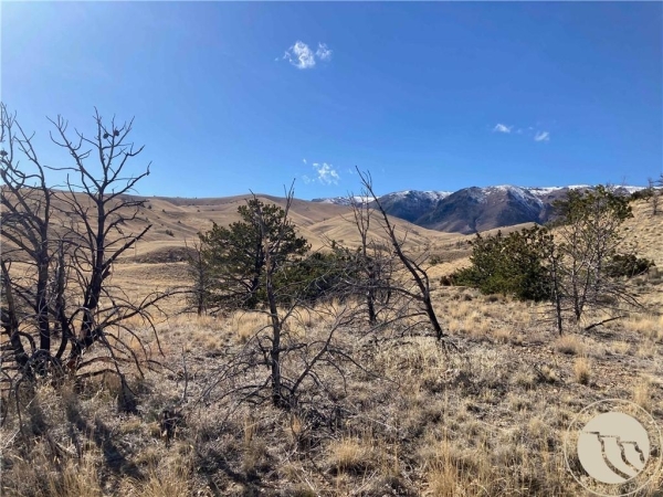 Listing Image #2 - Land for sale at NHN Ruby Creek Drive, Belfry MT 59088