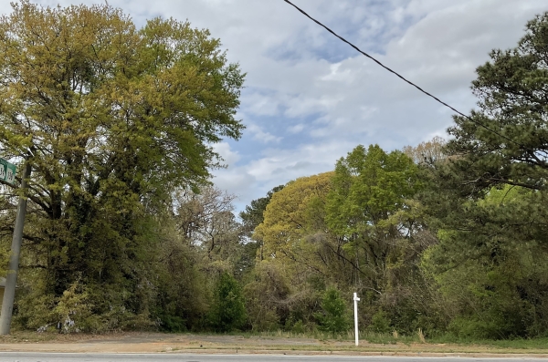 Listing Image #1 - Land for sale at 1198 Georgia 138, Jonesboro GA 30236