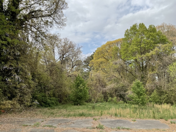 Listing Image #2 - Land for sale at 1198 Georgia 138, Jonesboro GA 30236