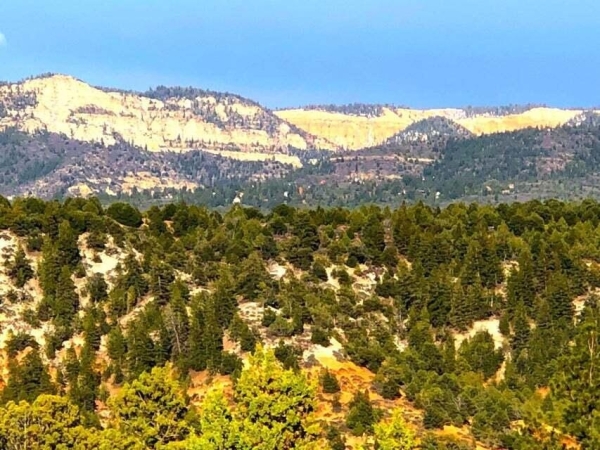 Listing Image #1 - Land for sale at 5.02 Acres Francis Street, Duck Creek UT 84762