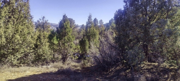 Listing Image #3 - Land for sale at 5.02 Acres Francis Street, Duck Creek UT 84762