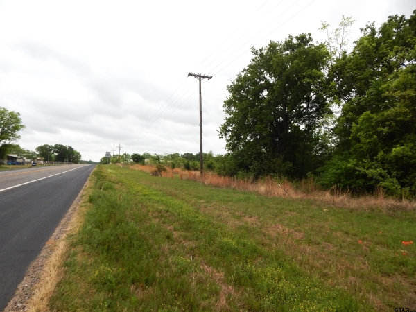 Listing Image #2 - Others for sale at TBD W ST HWY 154, Quitman TX 75783