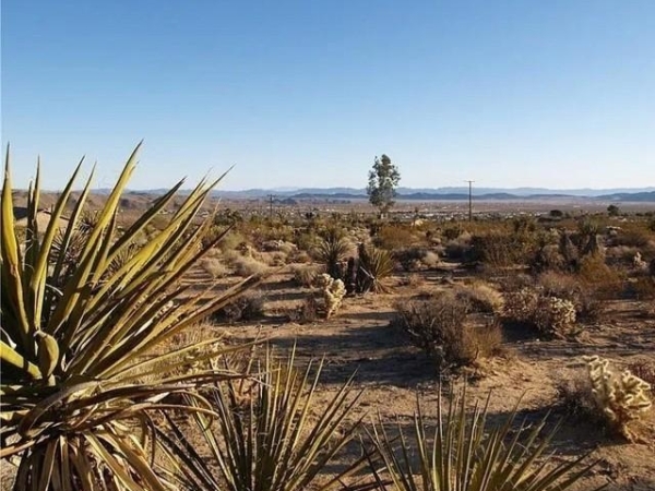 Listing Image #1 - Others for sale at 7275 Saddleback, JT CA 92252 Listing Image #1 - Others for sale at 7275 Saddleback, JT CA 92252