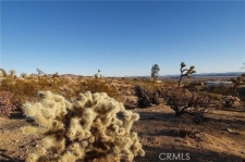 Listing Image #3 - Others for sale at 7275 Saddleback, JT CA 92252