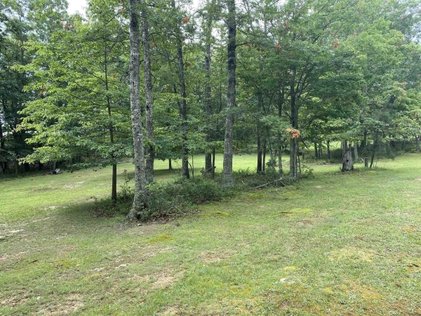 Listing Image #2 - Land for sale at TBD GORDON 49, Blacksburg VA 24060