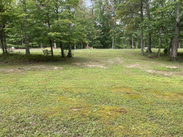 Listing Image #3 - Land for sale at TBD GORDON 49, Blacksburg VA 24060