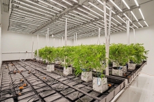 Listing Image #3 - Others for sale at 6764 Just Barns Drive, Fennville MI 49408