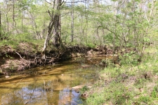 Listing Image #3 - Land for sale at 820 New Rd, Clarksville TN 37040