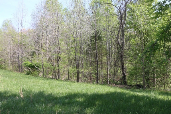 Listing Image #1 - Land for sale at 820 New Rd, Clarksville TN 37040 Listing Image #1 - Land for sale at 820 New Rd, Clarksville TN 37040
