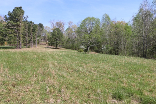Listing Image #1 - Land for sale at 820 New Rd, Clarksville TN 37040 Listing Image #1 - Land for sale at 820 New Rd, Clarksville TN 37040