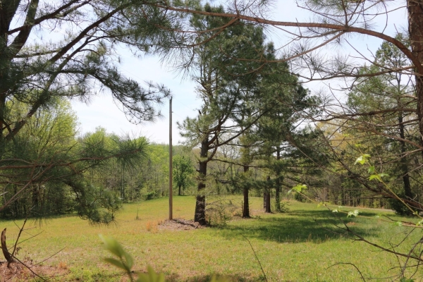 Listing Image #1 - Land for sale at 820 New Rd, Clarksville TN 37040